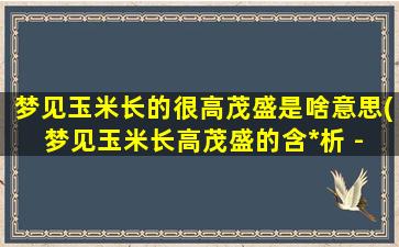 梦见玉米长的很高茂盛是啥意思(梦见玉米长高茂盛的含*析 - 探寻梦境奥秘)